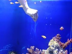 -广州海洋馆