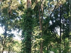 -仙海旅游度假区