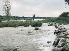 -绿堤公园