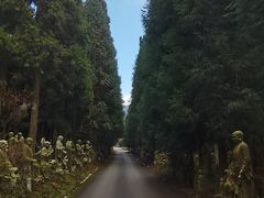 -武陵山森林公园