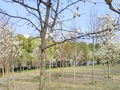 -金鹤新城水岸秀苑