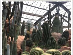 -华南国家植物园-售票处