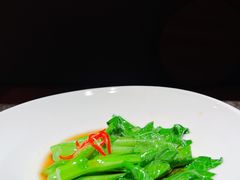 -觀芷隐轩