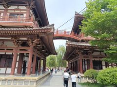 -西安青龙寺遗址景区