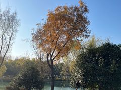 -滨湖塘西河公园