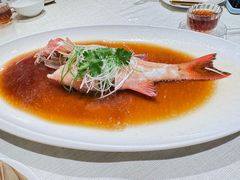 清蒸东星斑-御宝轩(益丰·外滩源店)