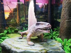 -国家自然博物馆