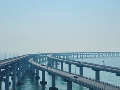 -星海湾跨海大桥