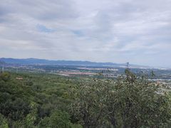 -北京鹫峰国家森林公园