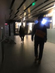 -大象造型