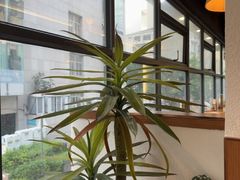 -海云台韩式汤饭·13年匠心韩料(南山店)
