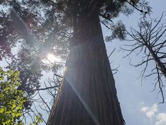 -东天目山风景区