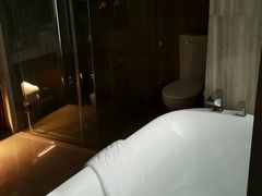 -常州环球恐龙城维景国际大酒店