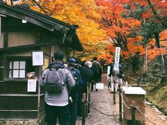 -常寂光寺