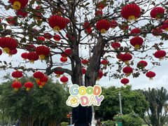 -万绿园