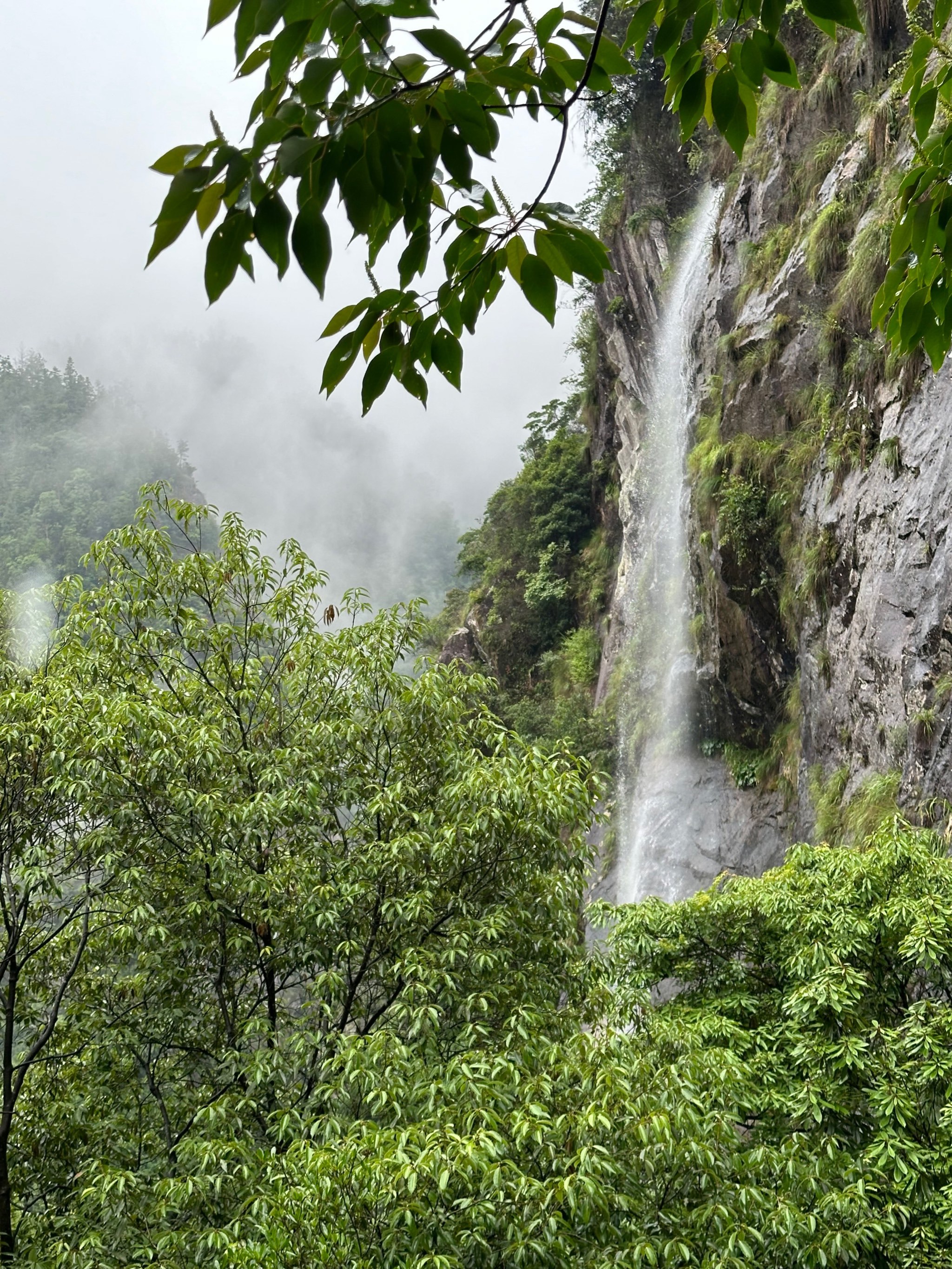 https://qcloud.dpfile.com/pc/PnFM9zPYQMvUOLv9_HSXa-6GMHuLKUgSxxhITKMHelwWpP0NqJ1QJ3t2iPjF2g_RY0q73sB2DyQcgmKUxZFQtw.jpg