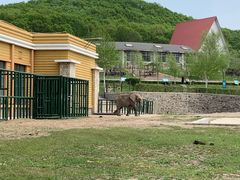 -哈尔滨北方森林动物园