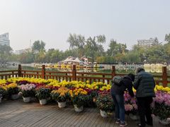 -莲湖公园
