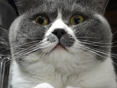 -不作·手工银饰DIY(西红门店)