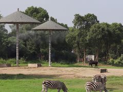 -宁波野生动物园