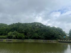 -广州市帽峰山景区
