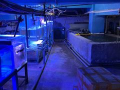 -太平洋海底世界