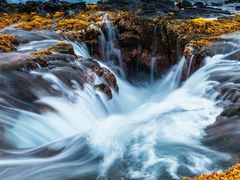 -徐记正宗北京烤鸭(北京东路总店)