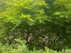 -无染寺