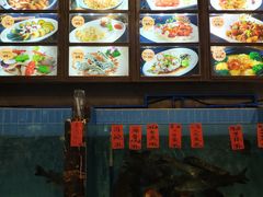 -大树头·花园餐厅(市桥店)