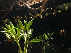 -都氏家DUSJOY(翡翠城店)