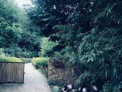 -远山有窑