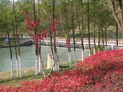 -滨湖塘西河公园