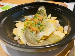生焗鲜黄鱼-兰亭轩茶餐厅(长江路店)