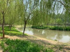-东郊湿地公园