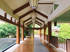 -广悦华阳朔河畔度假酒店(十里画廊遇龙河店)