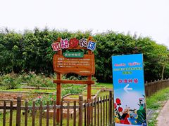 -亚龙湾国际玫瑰谷