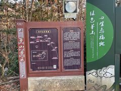 -句容茅山景区