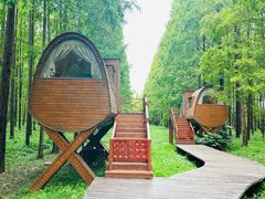 -黄海国家森林公园