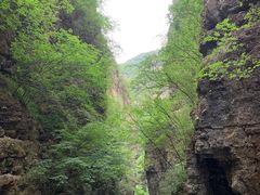 -野三坡百里峡景区
