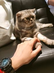 点击看大图 店内环境-AC TATTOO 纹身