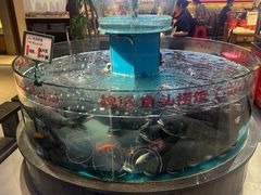 -魏铭鱼头捞饭(晋阳路店)