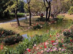 -人民公园(罗湖区)