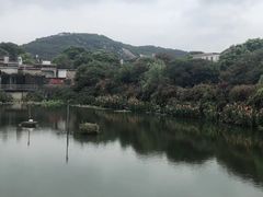 -赵家堡