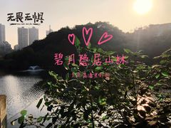 -重庆彩云湖湿地公园