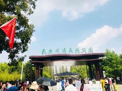 -黄海国家森林公园