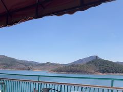 -望湖烤鱼