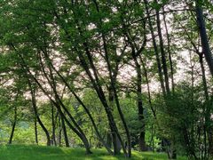 -梁鸿国家湿地公园