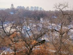 -齐齐哈尔龙沙动植物园