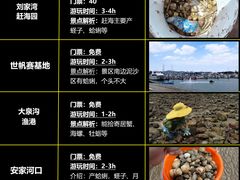 -巧克力渔家.小船海鲜胶东菜(万平口店)