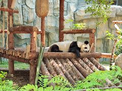 -泉州海丝野生动物世界